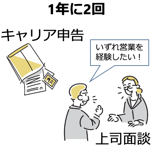 キャリア申告制度-1年に2回